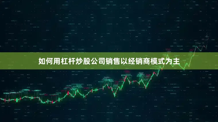 如何用杠杆炒股公司销售以经销商模式为主